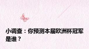 小调查：你预测本届欧洲杯冠军是谁？