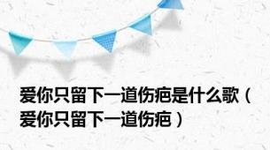 爱你只留下一道伤疤是什么歌（爱你只留下一道伤疤）