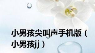 小男孩尖叫声手机版（小男孩jj）