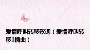 爱情呼叫转移歌词（爱情呼叫转移1插曲）