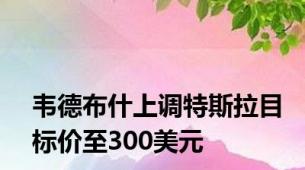 韦德布什上调特斯拉目标价至300美元