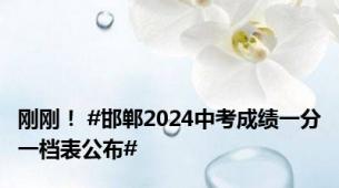 刚刚！ #邯郸2024中考成绩一分一档表公布#