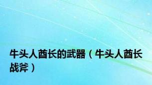 牛头人酋长的武器（牛头人酋长战斧）