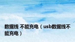 数据线 不能充电（usb数据线不能充电）