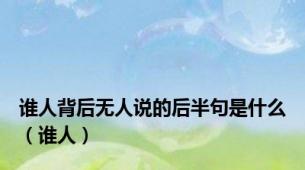 谁人背后无人说的后半句是什么（谁人）