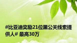 #比亚迪奖励21位黑公关线索提供人# 最高30万