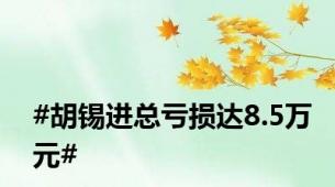 #胡锡进总亏损达8.5万元#