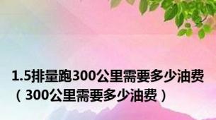 1.5排量跑300公里需要多少油费（300公里需要多少油费）