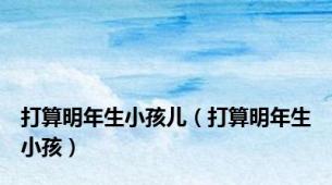 打算明年生小孩儿（打算明年生小孩）