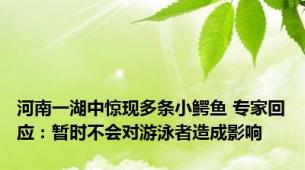河南一湖中惊现多条小鳄鱼 专家回应：暂时不会对游泳者造成影响