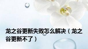 龙之谷更新失败怎么解决（龙之谷更新不了）