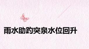 雨水助趵突泉水位回升