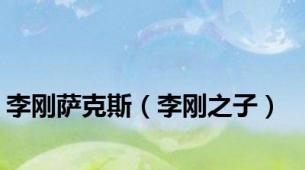 李刚萨克斯（李刚之子）