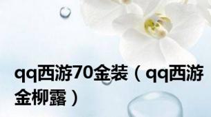 qq西游70金装（qq西游金柳露）