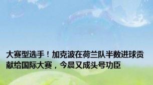 大赛型选手！加克波在荷兰队半数进球贡献给国际大赛，今晨又成头号功臣