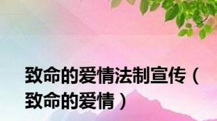 致命的爱情法制宣传（致命的爱情）