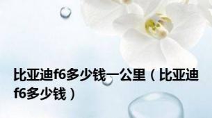 比亚迪f6多少钱一公里（比亚迪f6多少钱）