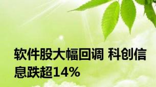 软件股大幅回调 科创信息跌超14%