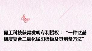昆工科技获得发明专利授权：“一种钛基梯度复合二氧化锰阳极板及其制备方法”