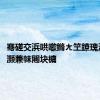 骞磋交浜哄噷鏅ㄤ笁鐐瑰湪杩＋灏兼帓闀块槦