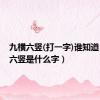 九横六竖(打一字)谁知道（九横六竖是什么字）