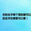 你的名字哪个播放器可以看（你的名字在哪里可以看）