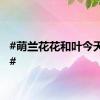 #萌兰花花和叶今天生日#