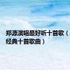郑源演唱最好听十首歌（郑源最经典十首歌曲）