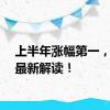 上半年涨幅第一，公募最新解读！