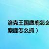 洛克王国麋鹿怎么抓（麋鹿怎么抓）