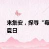来集安，探寻“莓”好夏日