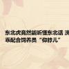 东北虎竟然能听懂东北话 洗澡时乖乖配合饲养员“仰脖儿”