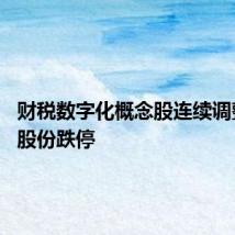 财税数字化概念股连续调整 税友股份跌停