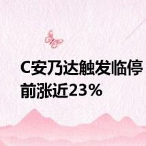 C安乃达触发临停 停牌前涨近23%