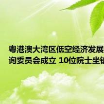 粤港澳大湾区低空经济发展战略咨询委员会成立 10位院士坐镇