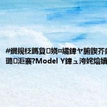 #鐗规柉鎷夐娆¤繘鍏ヤ腑鍥芥斂搴滈噰璐洰褰?Model Y鍏ュ洿姹熻嫃鐪佹斂