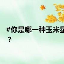 #你是哪一种玉米星人# ？