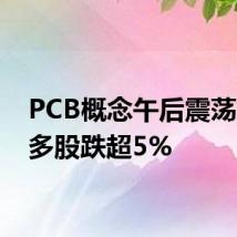PCB概念午后震荡走低 多股跌超5%