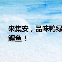 来集安，品味鸭绿江炖鲤鱼！
