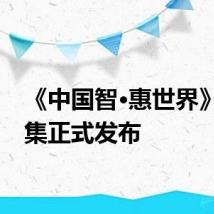 《中国智·惠世界》案例集正式发布