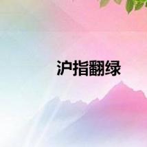 沪指翻绿