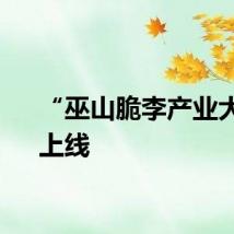 “巫山脆李产业大脑”上线