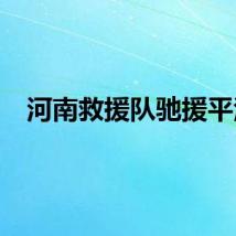 河南救援队驰援平江