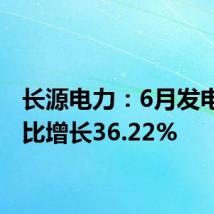 长源电力:6月发电量同比增长36.22%