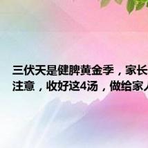 三伏天是健脾黄金季,家长一定要注意,收好这4汤,做给家人吃