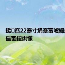 鏉窞22骞寸埍蹇冨噳鑼舵憡濡傜害鍑烘憡