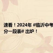速看!2024年 #临沂中考成绩一分一段表# 出炉!
