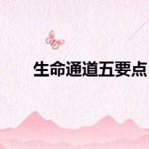 生命通道五要点