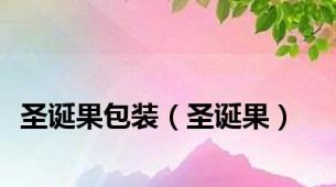圣诞果包装（圣诞果）