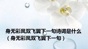 身无彩凤双飞翼下一句诗词是什么（身无彩凤双飞翼下一句）